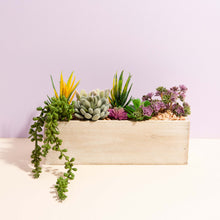 Load image into Gallery viewer, Artificial Succulent Planter
