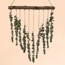 Load image into Gallery viewer, Eucalyptus Hanging Plant
