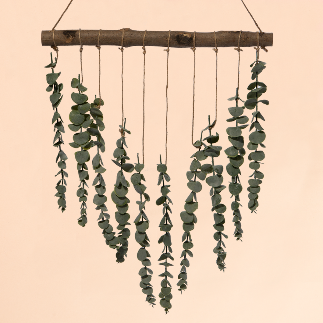 Eucalyptus Hanging Plant